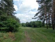 Городок з panoramio.com