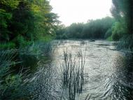 Романівка з panoramio.com