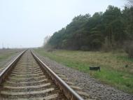 Оріхівка з panoramio.com