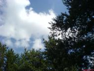 Борівське з panoramio.com