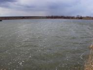 Малозахарине - Останні фото