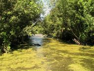 Дубовий Гай з panoramio.com