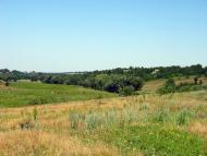 Дубова з panoramio.com