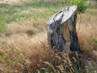 Балабине з panoramio.com