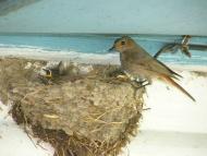 Життя селянське