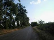 ПО ДОРОЗІ НА БИШІВ