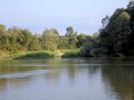 Річка Стрий