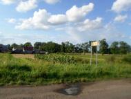 Бояничі - Останні фото