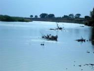 Річка Стрий