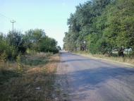 ПО ДОРОЗІ НА БИШІВ