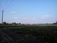 ПО ДОРОЗІ НА БИШІВ