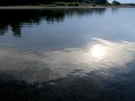 Річка Стрий