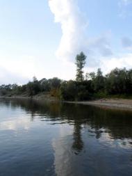 Річка Стрий