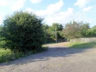 Бояничі - Останні фото