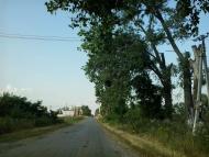 ПО ДОРОЗІ НА БИШІВ