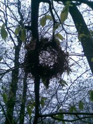 НПП 'Пирятинський'