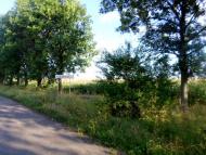 Опільсько - Останні фото