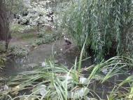 ЕКОКОМПЛЕКС 'УКРАЇНСЬКЕ СЕЛО'