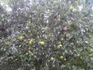 Життя селянське