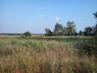 ПО ДОРОЗІ НА БИШІВ