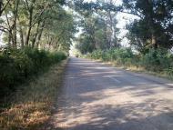 ПО ДОРОЗІ НА БИШІВ