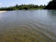 Річка Стрий