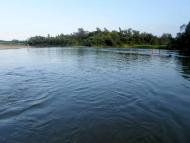 Річка Стрий