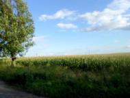 Опільсько - Останні фото