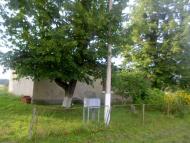 Народний дім. Бібліотека