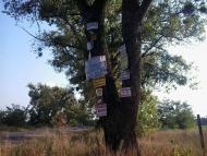 ПО ДОРОЗІ НА БИШІВ