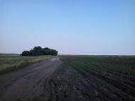 ПО ДОРОЗІ НА БИШІВ