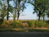 ПО ДОРОЗІ НА БИШІВ