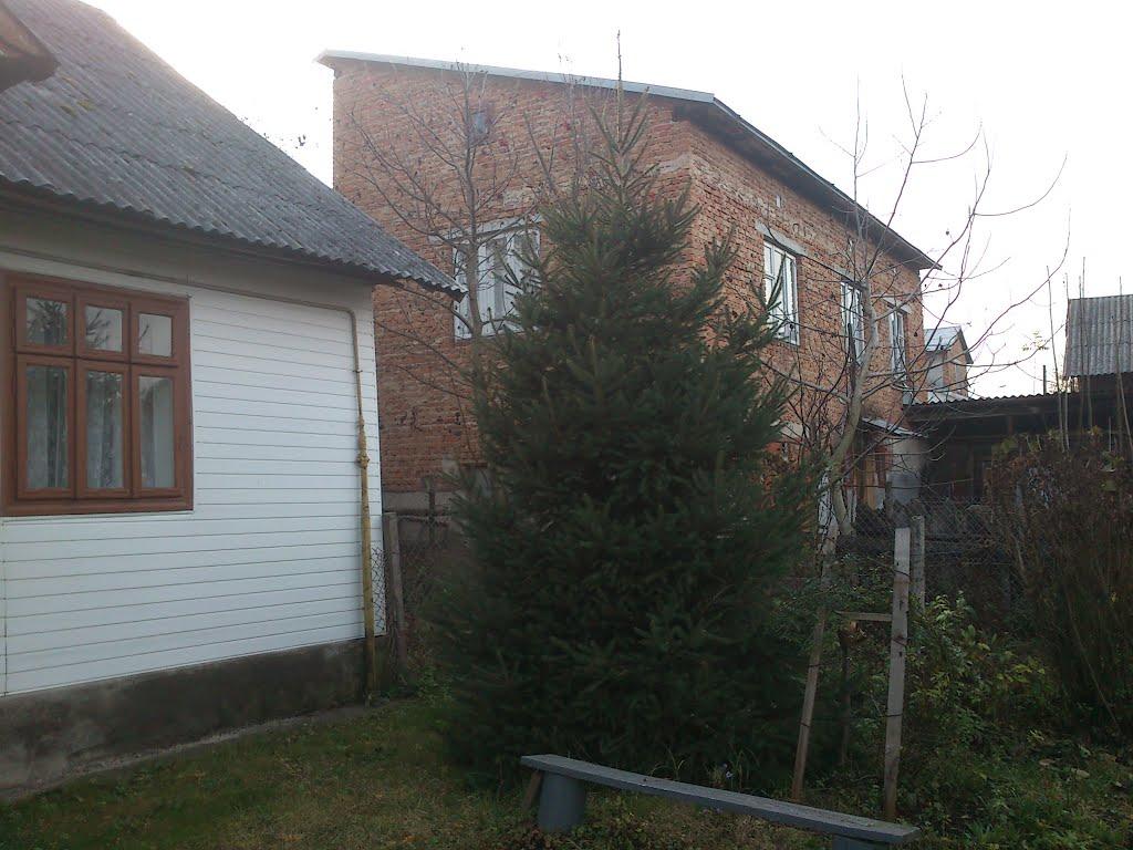 Ріпнів з panoramio.com - Ріпнів