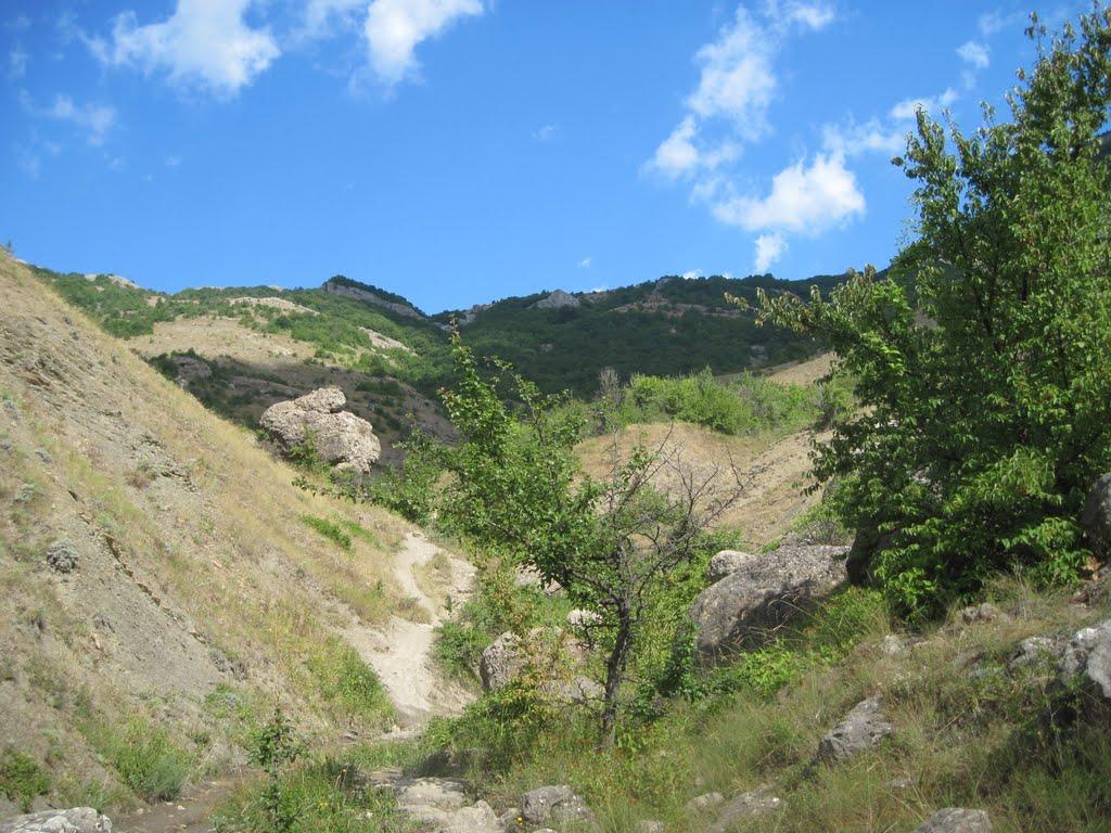 Зеленогір'я з panoramio.com - Зеленогорье