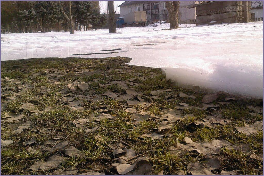 Брилівка з panoramio.com - Брилівка
