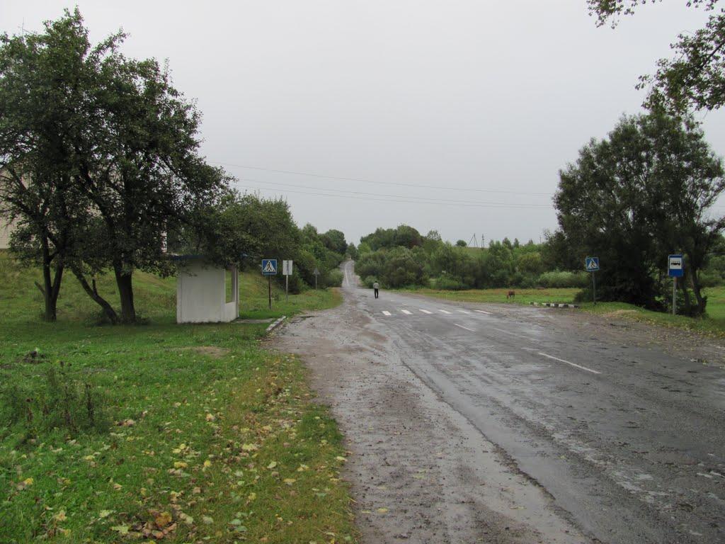Малі Дедеркали з panoramio.com - Малые Дедеркалы