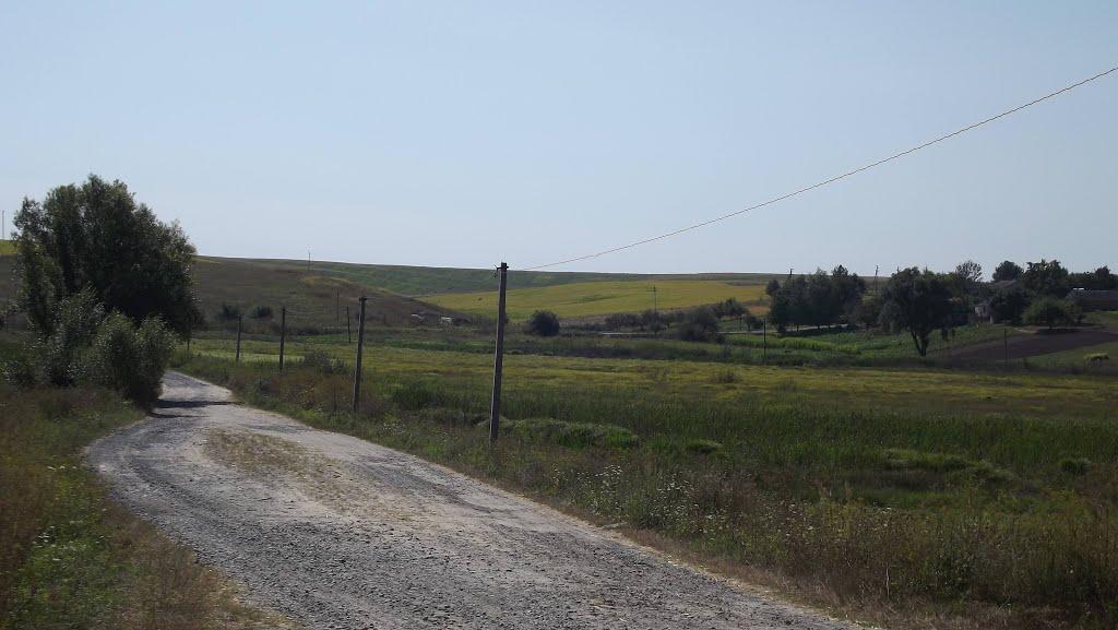 Великий Окорськ з panoramio.com - Великий Окорськ