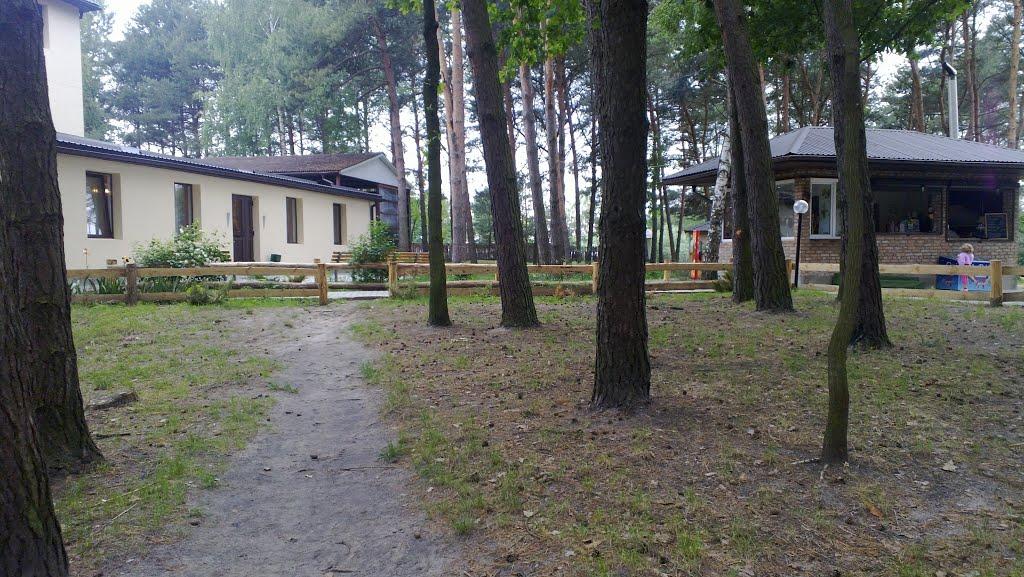 Топільне з panoramio.com - Топільне