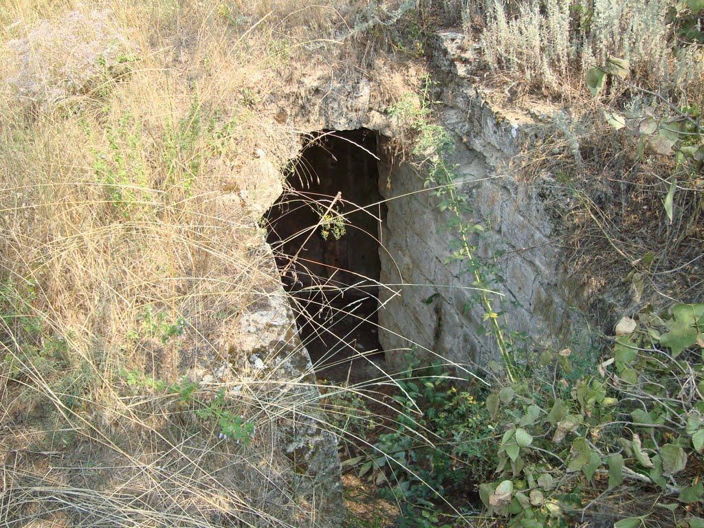 Весняна Квітка з panoramio.com - Весняная Квитка