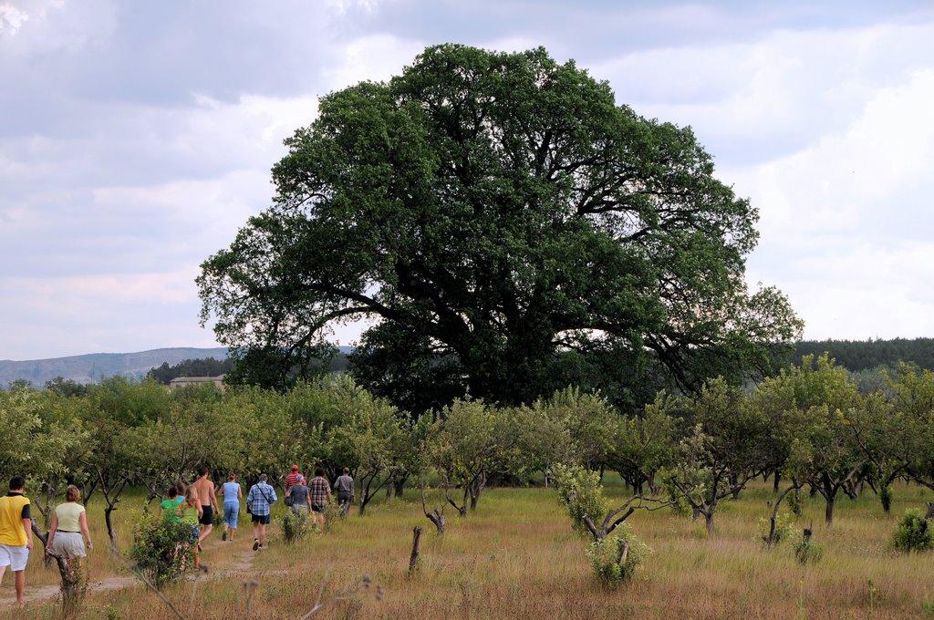 Білогірськ з panoramio.com - Білогірськ