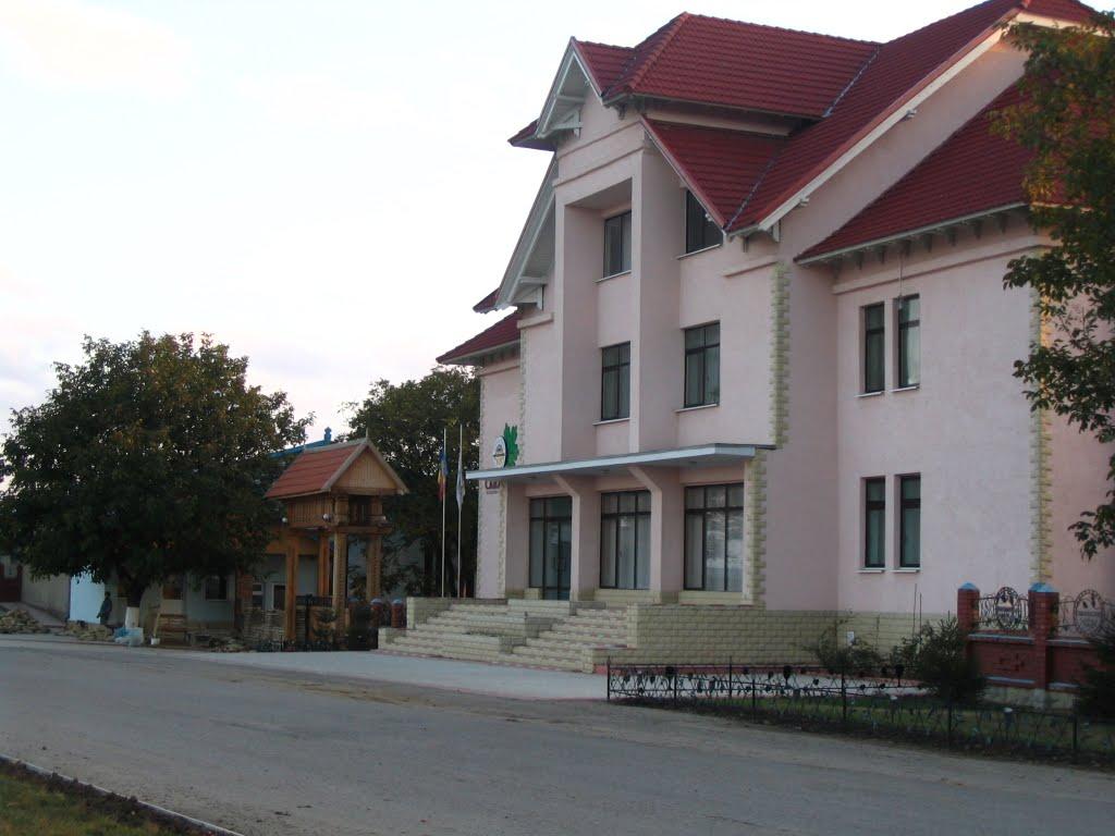 Чистоводне з panoramio.com - Чистоводное