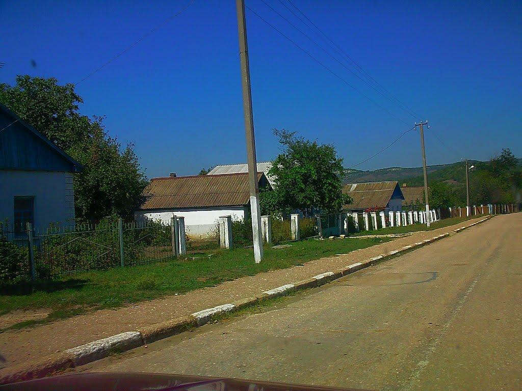 Синапне з panoramio.com - Синапне