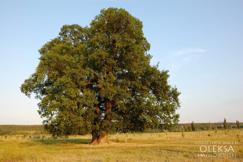 Білогірськ з panoramio.com - Білогірськ
