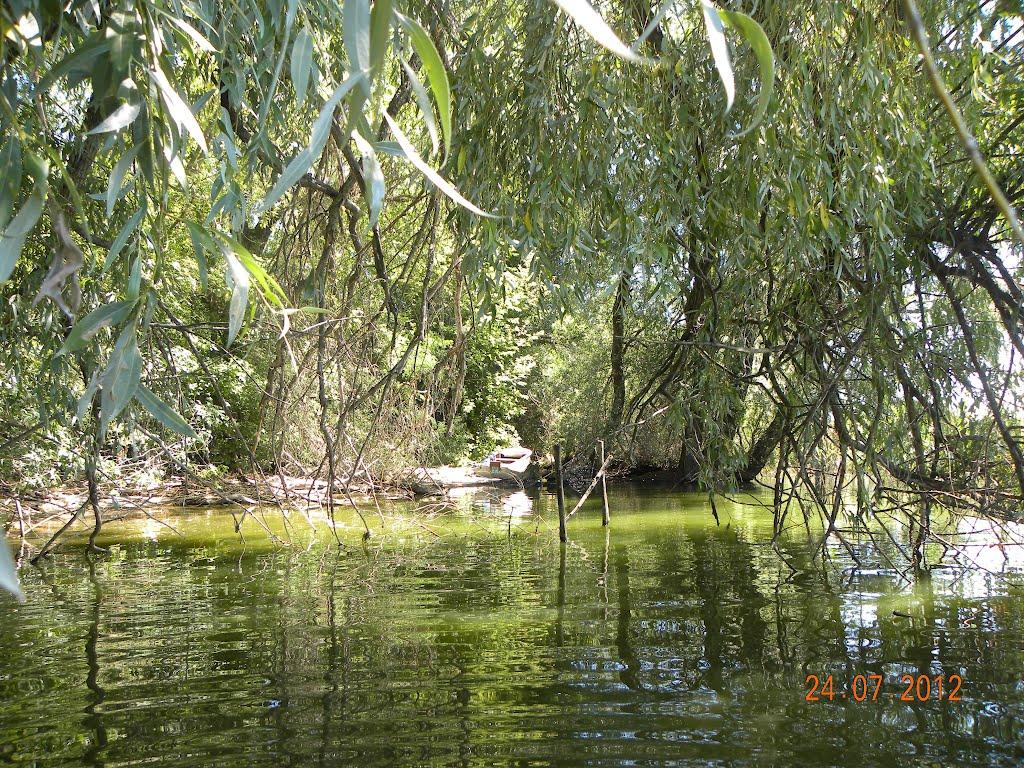 Жовнине з panoramio.com - Жовнине