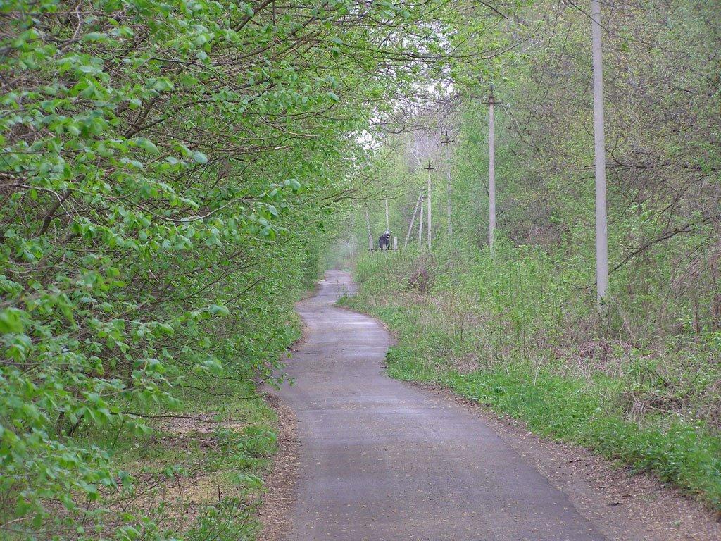 Білогорівка з panoramio.com - Белогоровка