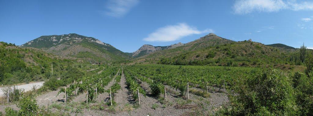 Зеленогір'я з panoramio.com - Зеленогір'я