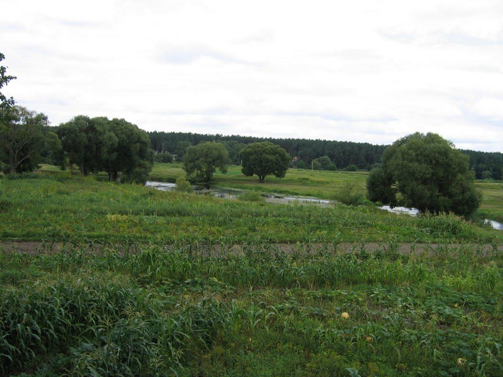 Славута з panoramio.com - Славута