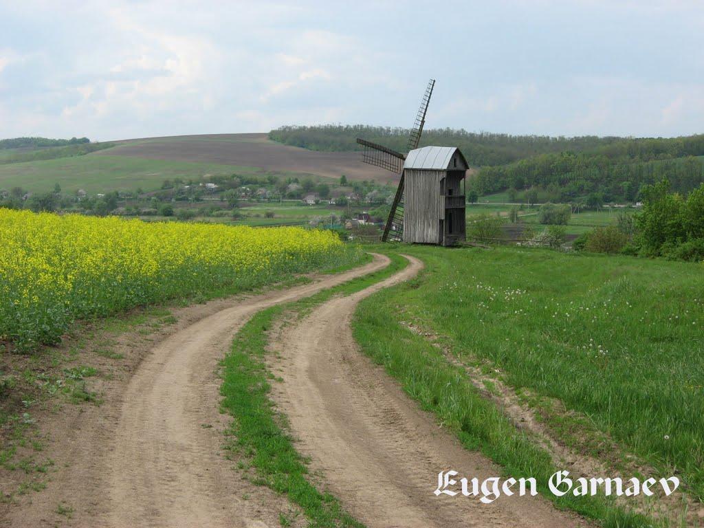 Орловець з panoramio.com - Орловець