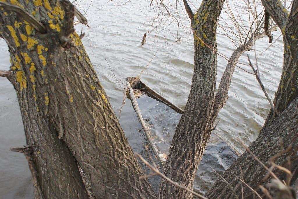 Чемерпіль з panoramio.com - Чемерполь