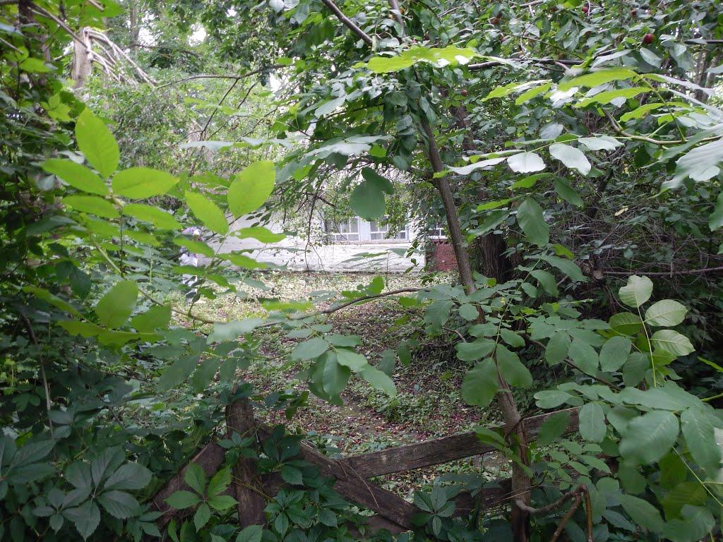 Черемошне з panoramio.com - Черемошное